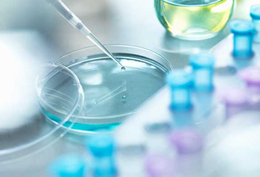 立式螺帶混合機的應用